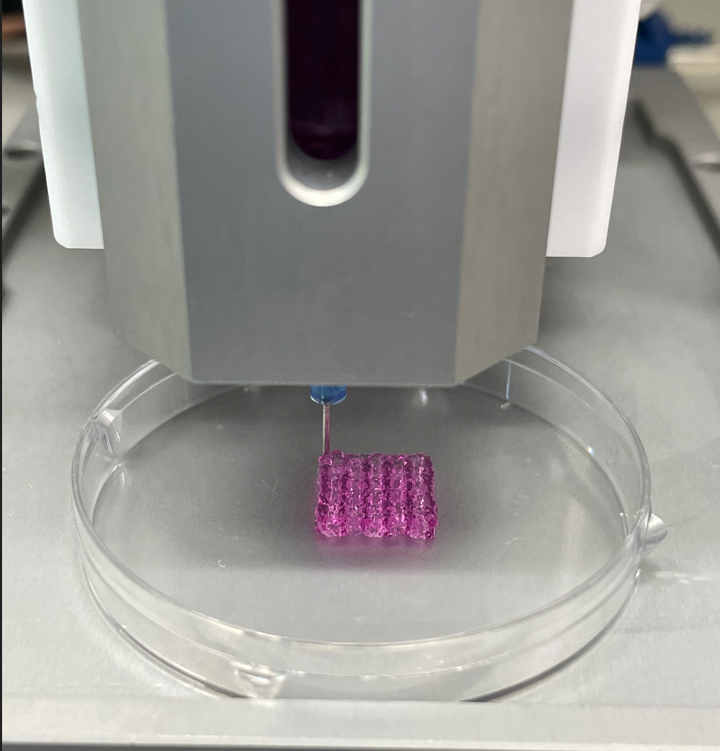 3D printing a hydrogel.